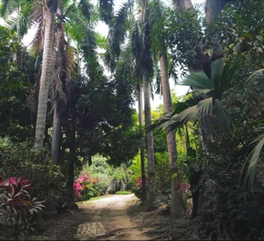 Posada Villa Margarita