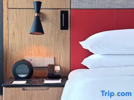 Superior Double room with city view (twin beds)
