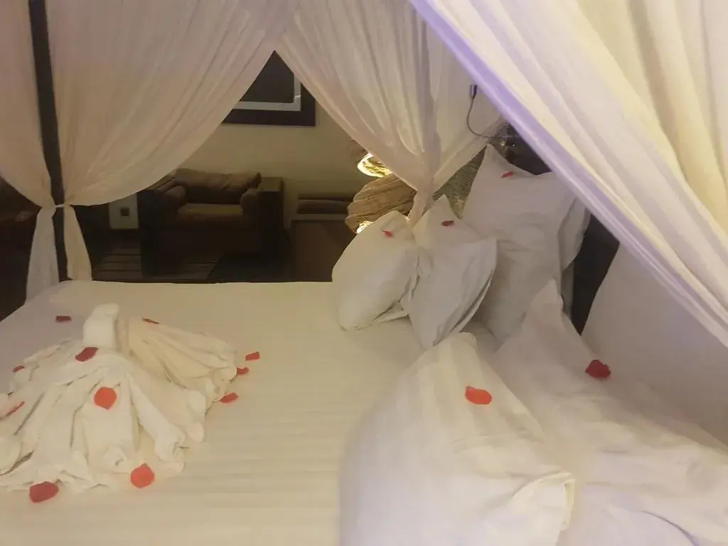 The Rhino Resort Hotel & Spa - 4