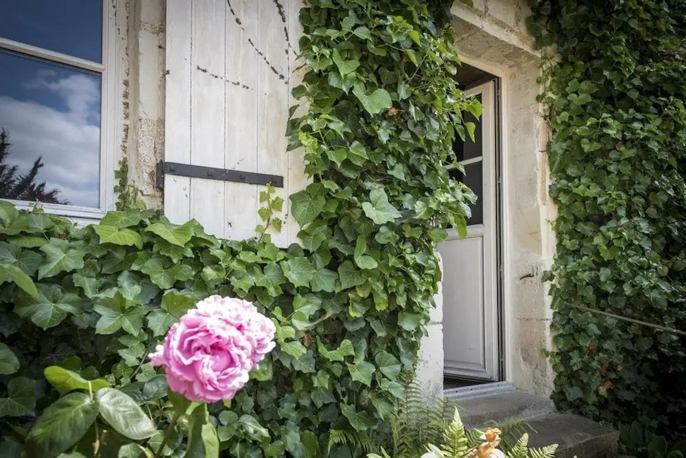 House With 2 Bedrooms in Gennes Val de Loire , With Enclosed Garden and Wifi