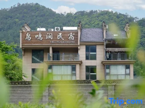Birds Chirping Guesthouse