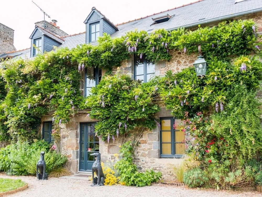 Voir la photo 1 — Salamandre Cottage