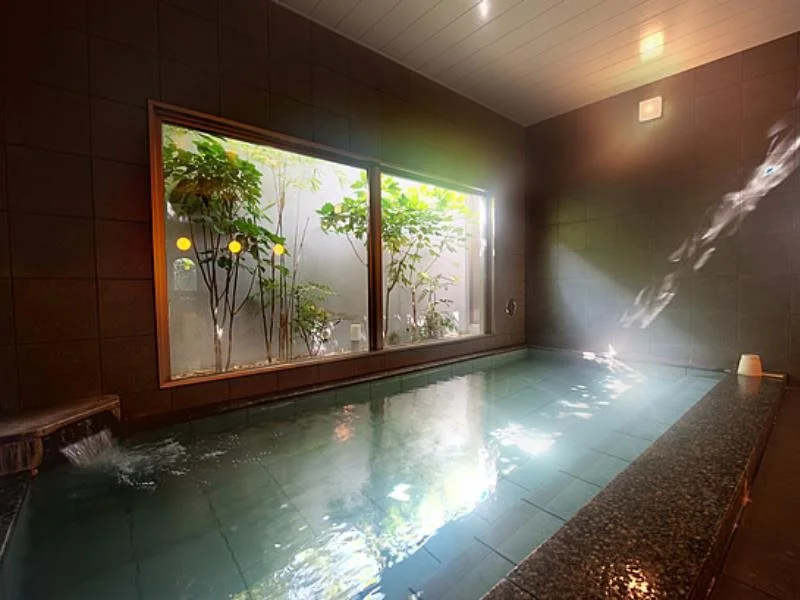 Super Hotel Arai Niigata - Général