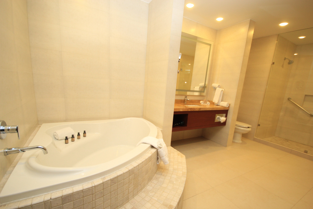 Holiday Inn Leon Plaza Mayor by IHG - Général