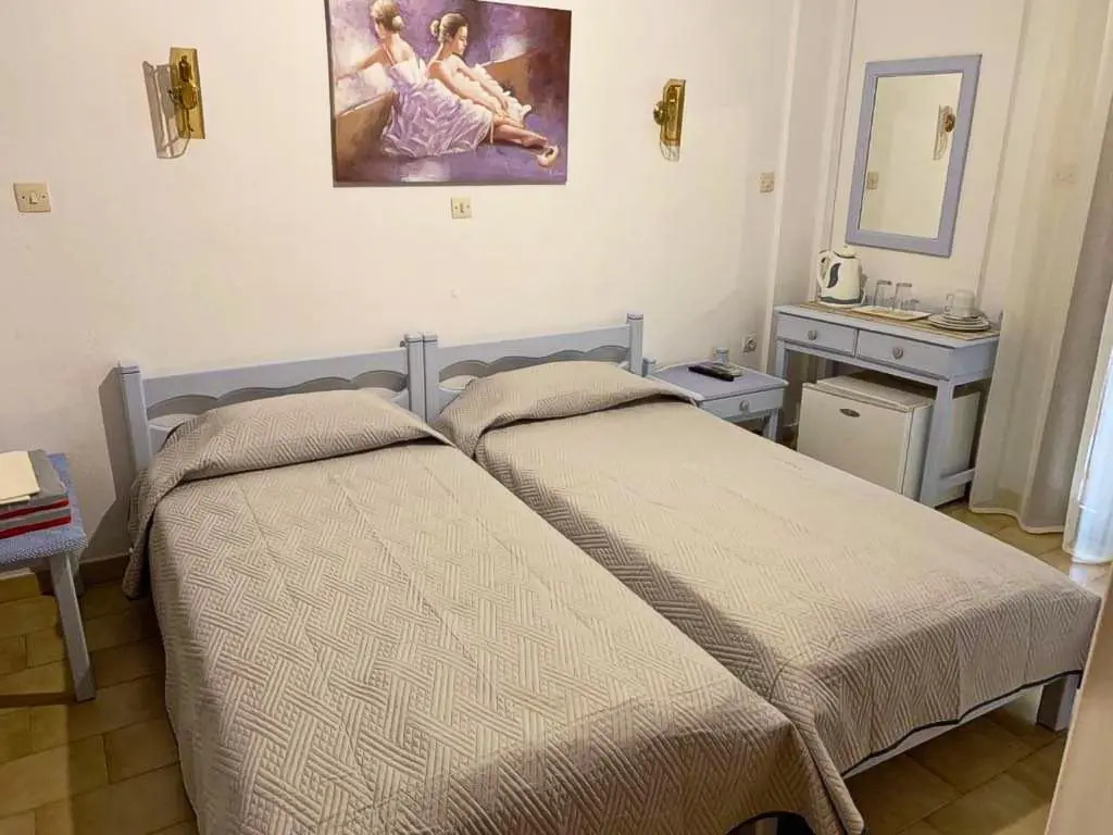 Standard Double room (twin beds)