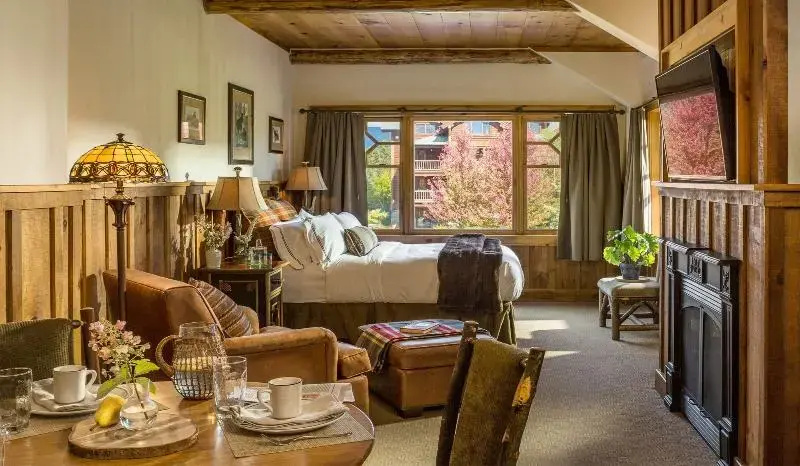 1 Bedroom Suite