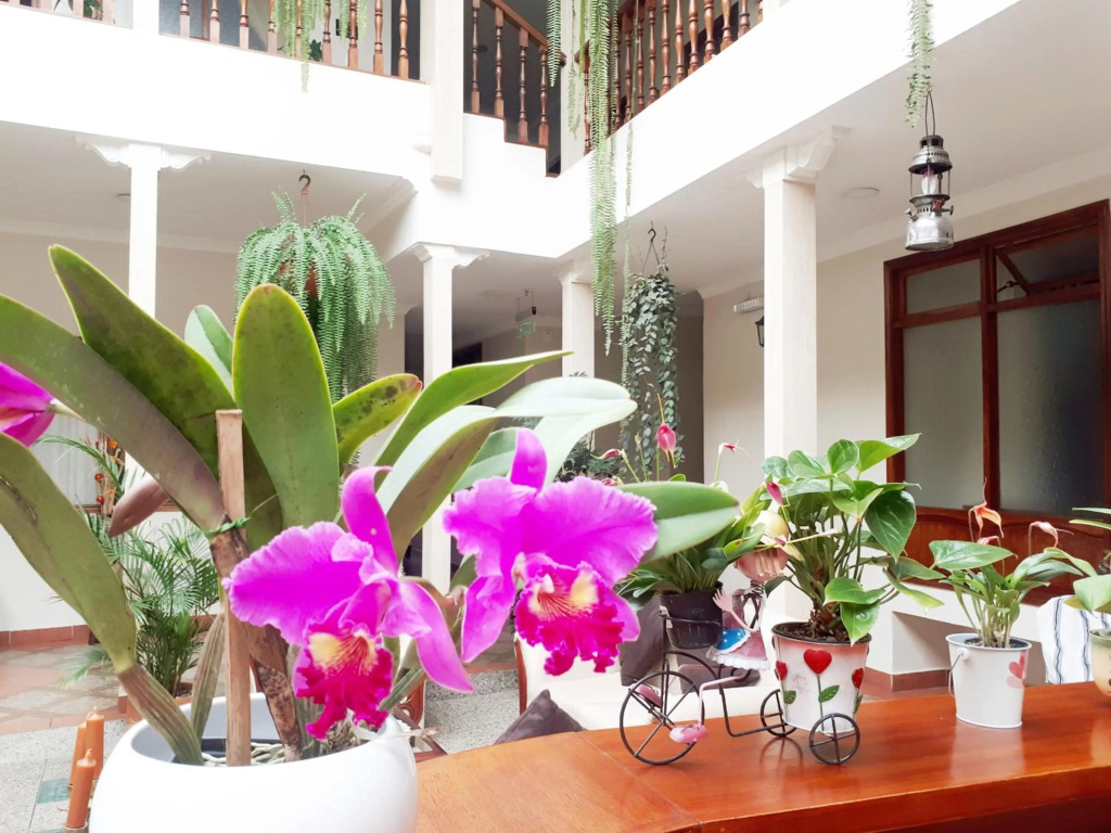 Hotel Casa Montero - Général