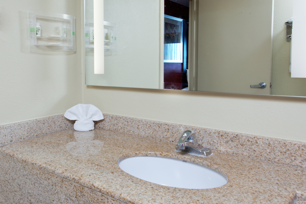 Holiday Inn Shreveport Downtown by IHG - Général