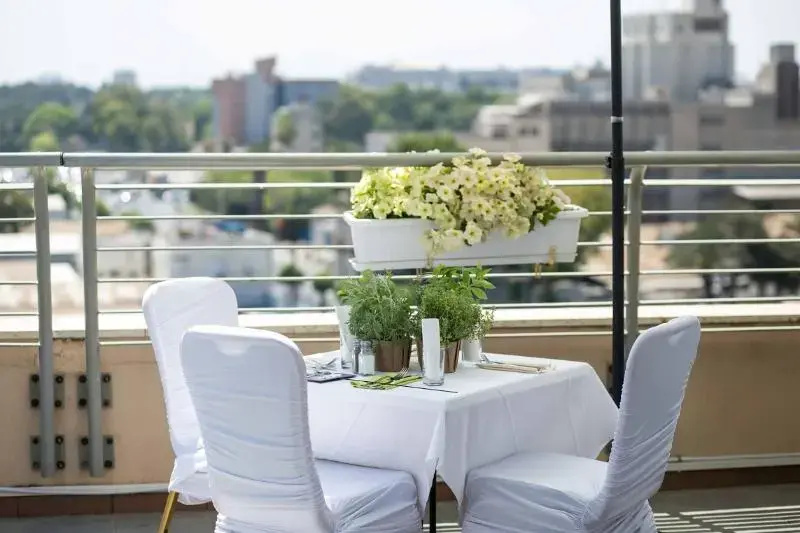 Balcony & Terrace