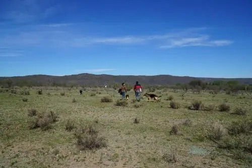 Granja El Aromo - фото 5