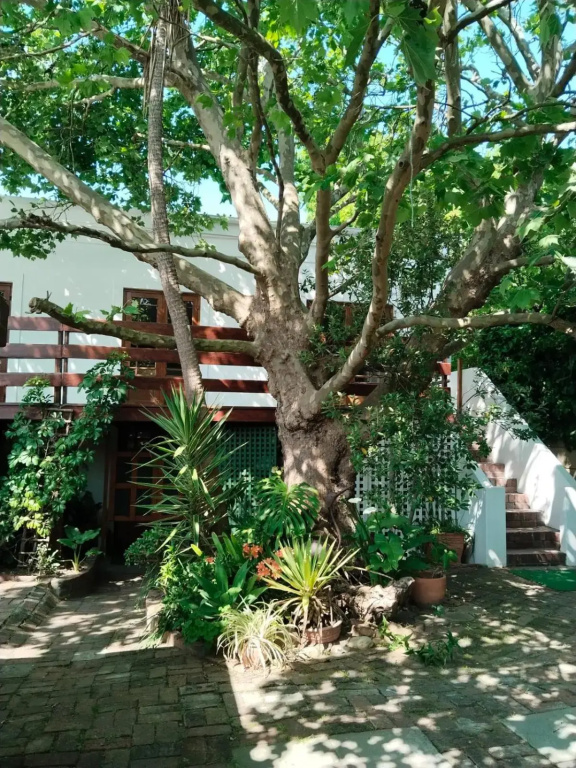 Large Family Holiday Home