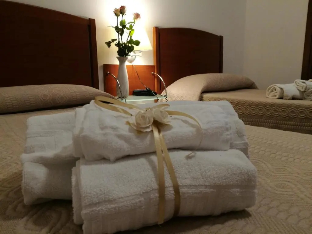 Standard Double room (twin beds)