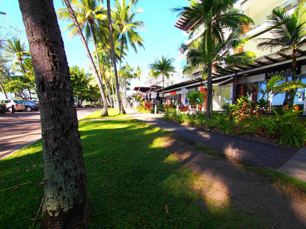 Drift Palm Cove - Général