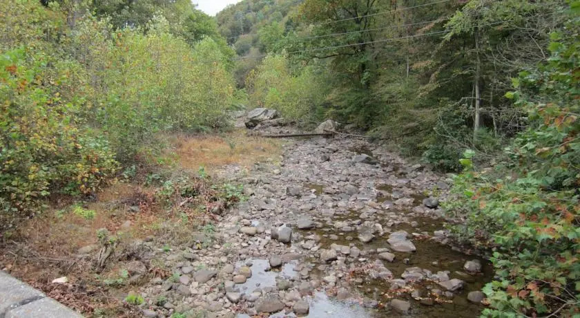 Dry River Cabin