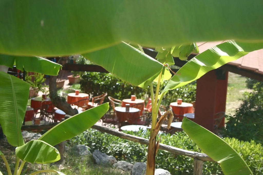 Agriturismo Ruralia
