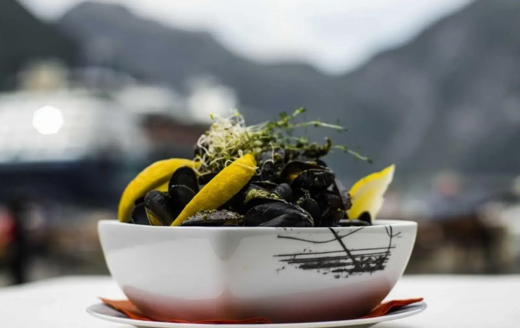 Havila Hotel Geiranger - Général