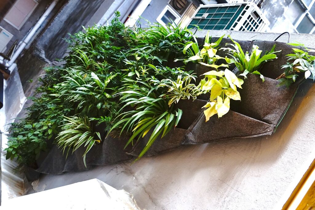 SLEEEP | HKG.Sheung Wan (Gough St.) by null