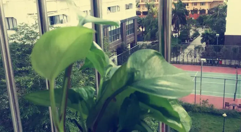 rainbow guesthouse