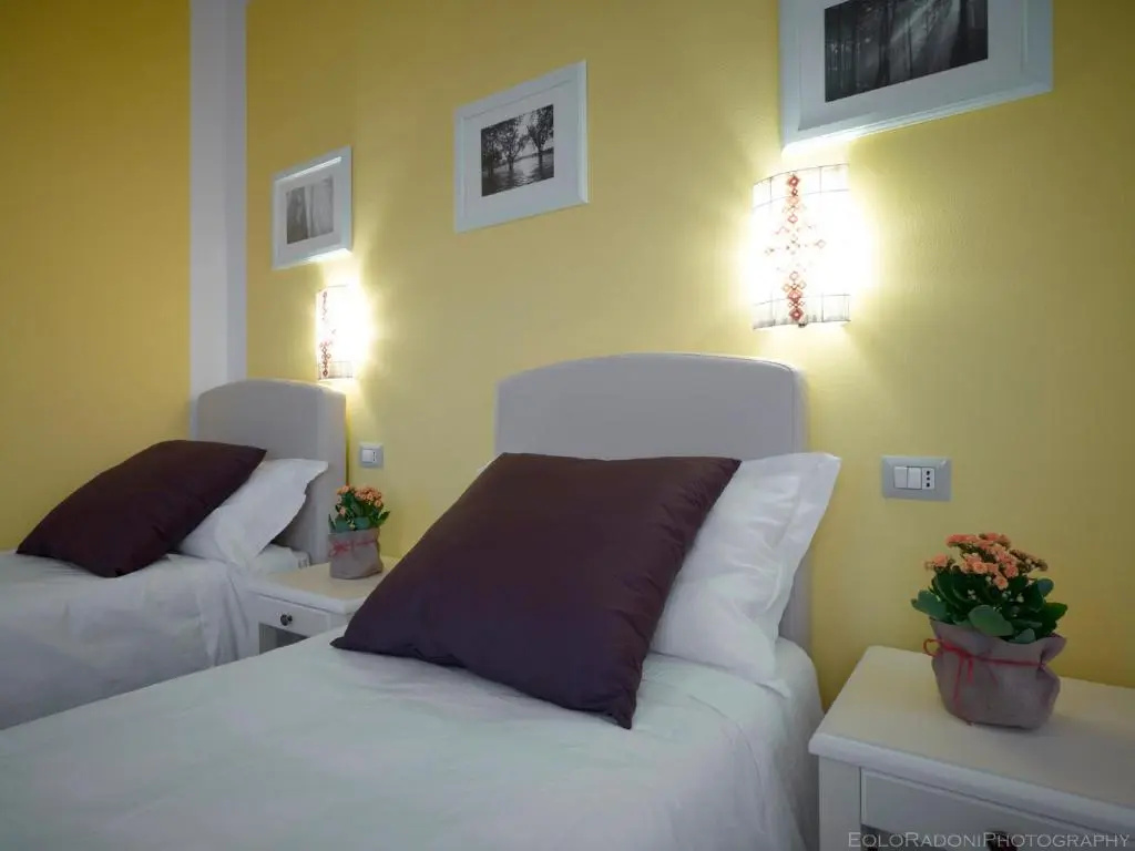 Standard Double room (twin beds)