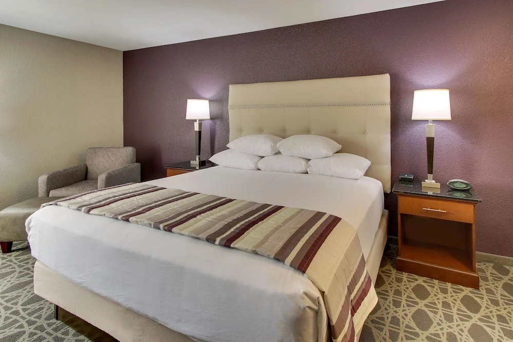 Drury Inn & Suites Poplar Bluff - Chambres