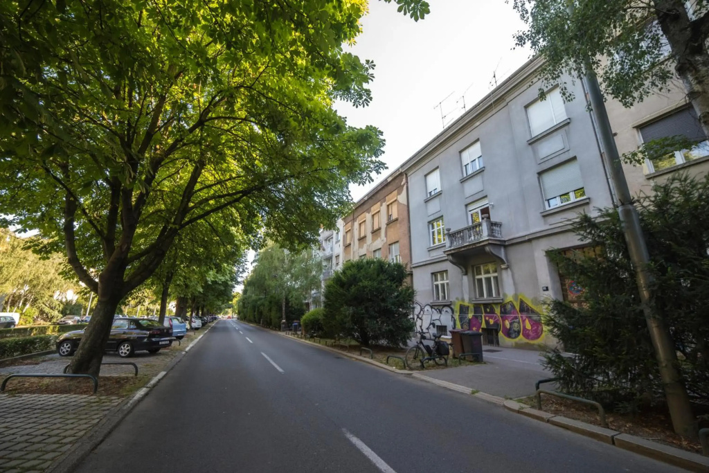 Green Leaf Apartment