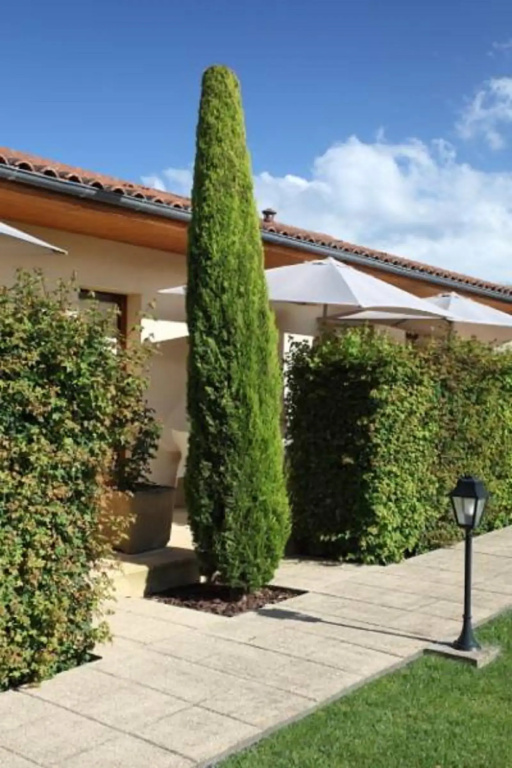 Hotel Le Mas Del Pechs - Général