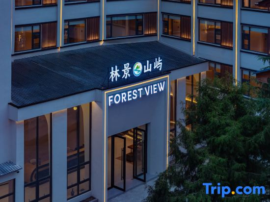 Forest View Hotel