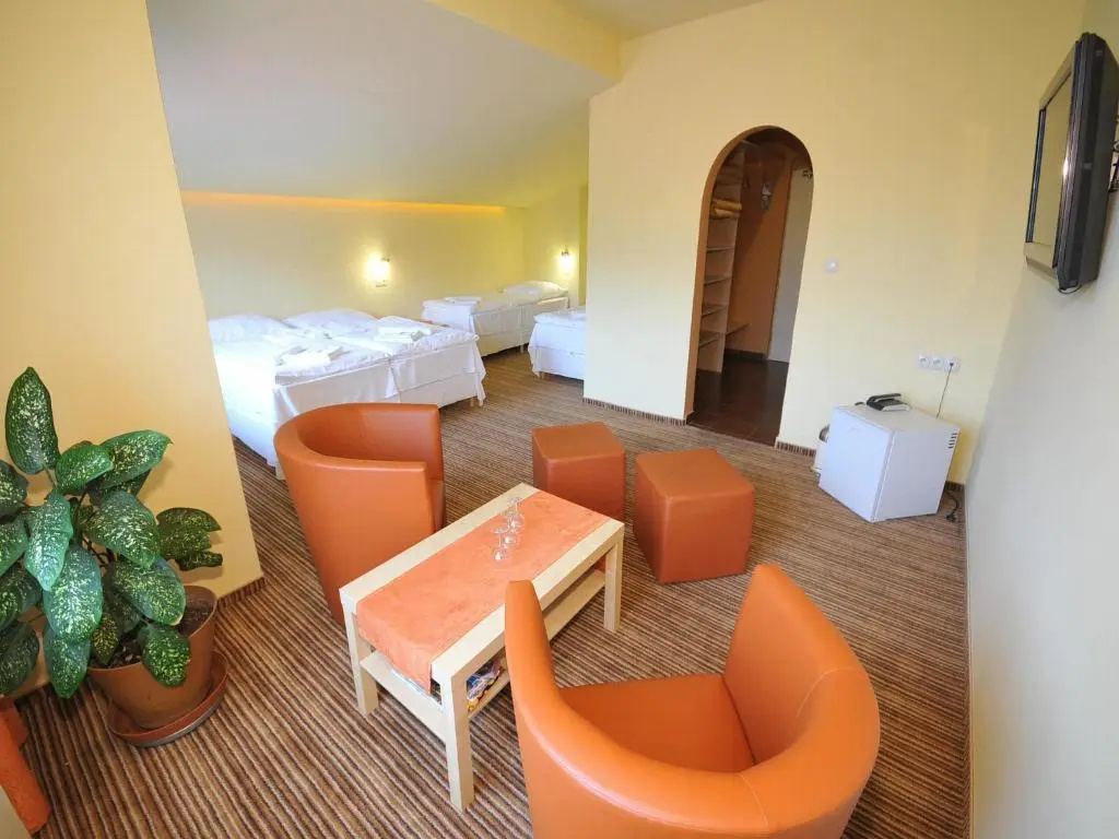 Hotel Cingov - Chambres