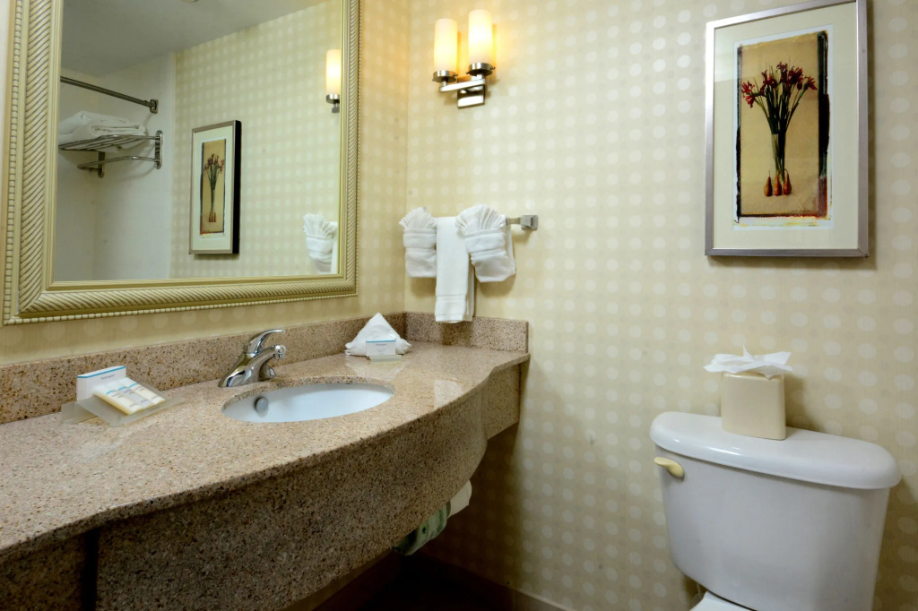 Hilton Garden Inn Raleigh Capital Blvd I-540 - Général