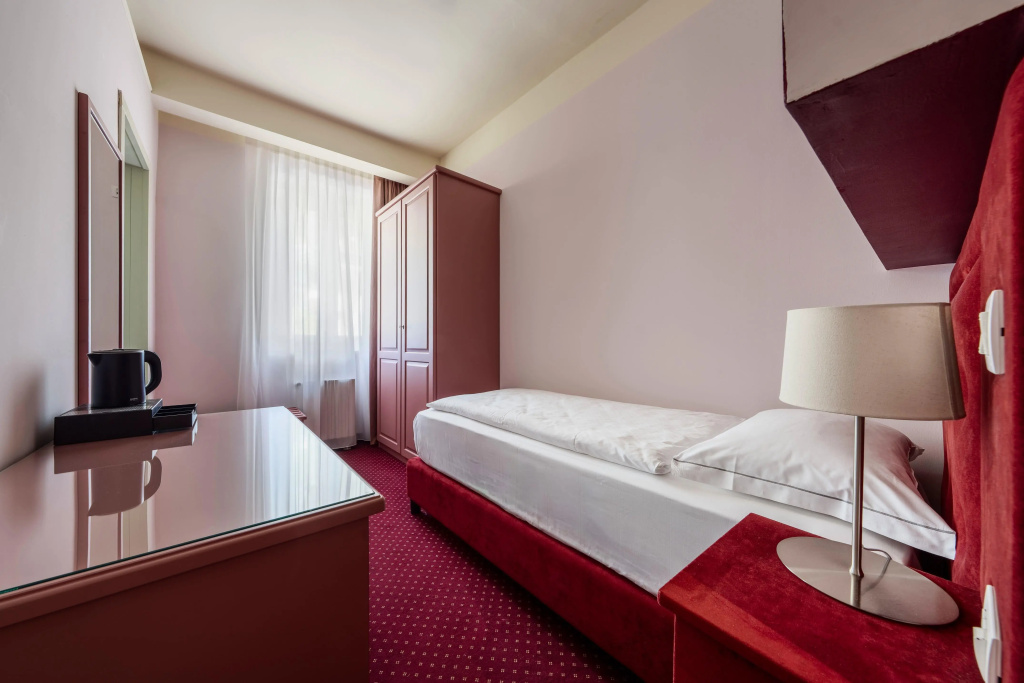 Standard Single room with lake view (single bed)