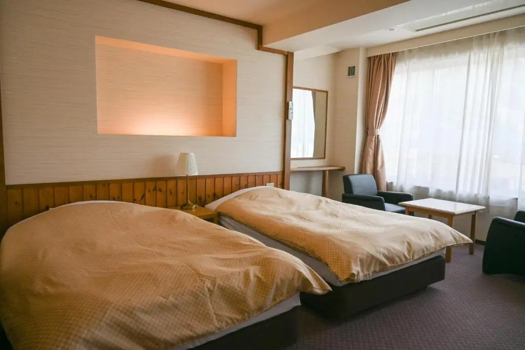Superior Double room (twin beds)