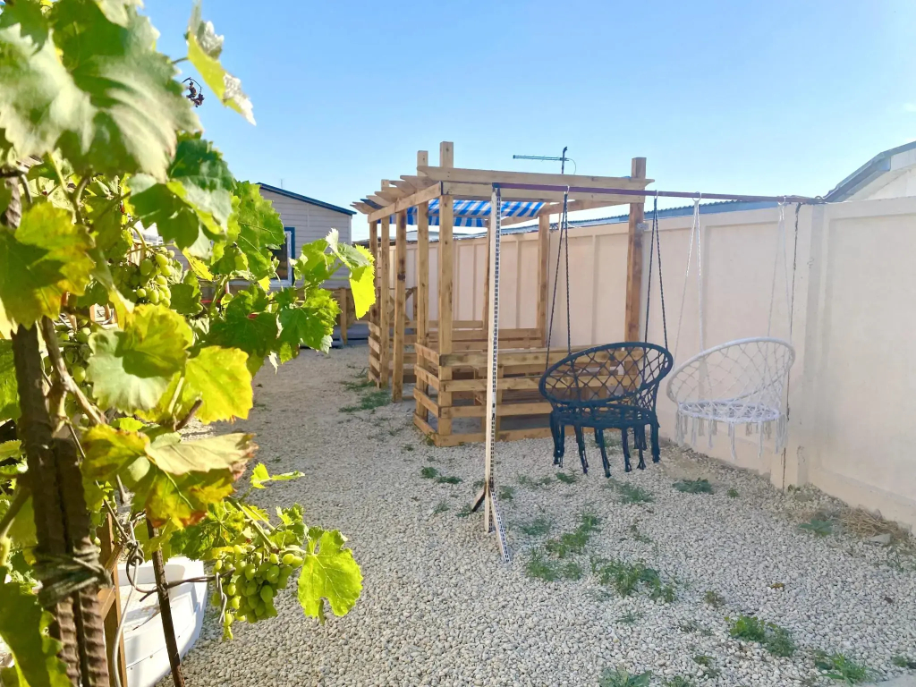 Лютик - фото 33