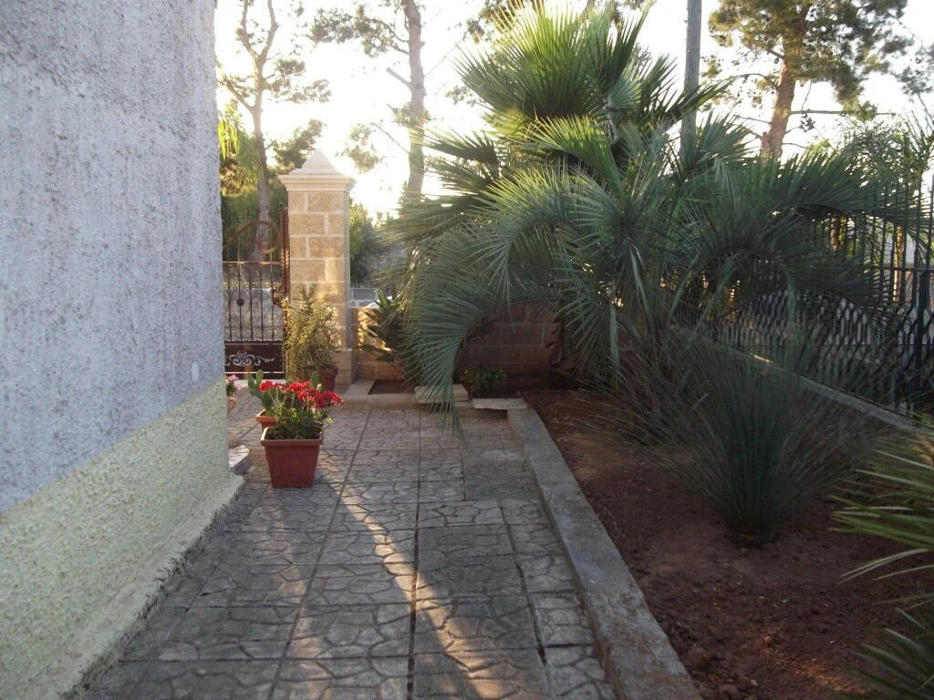 B&B Lezzi Avantgarde — 4