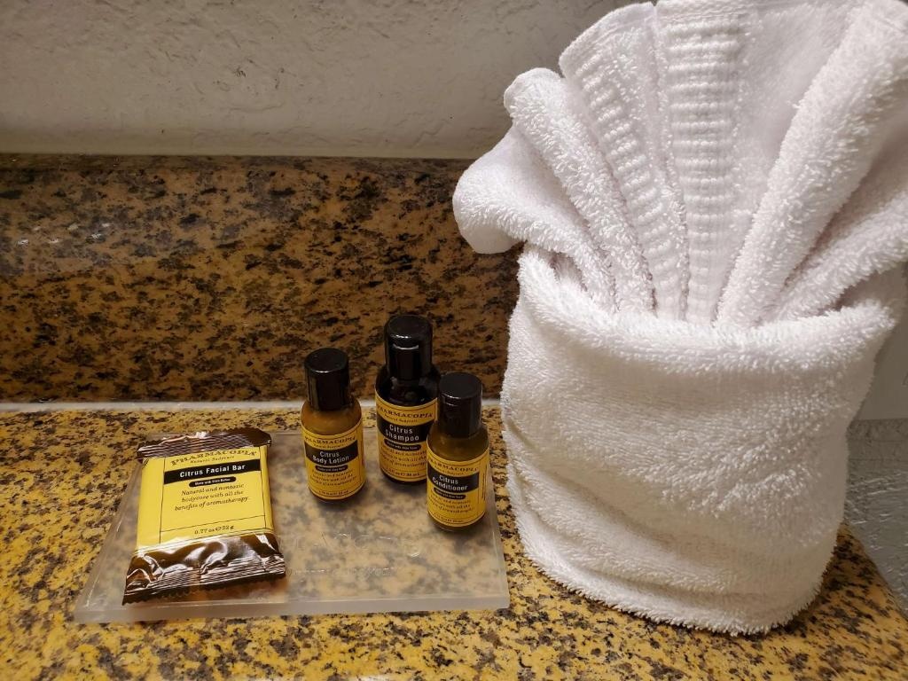 Best Western Plus Milwaukee Airport Hotel & Conference Ctr - Chambres