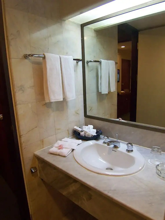 Superior Double room (twin beds)