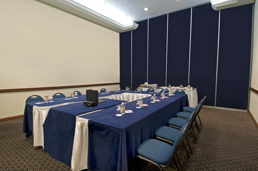 Fiesta Inn Express Chihuahua - Général