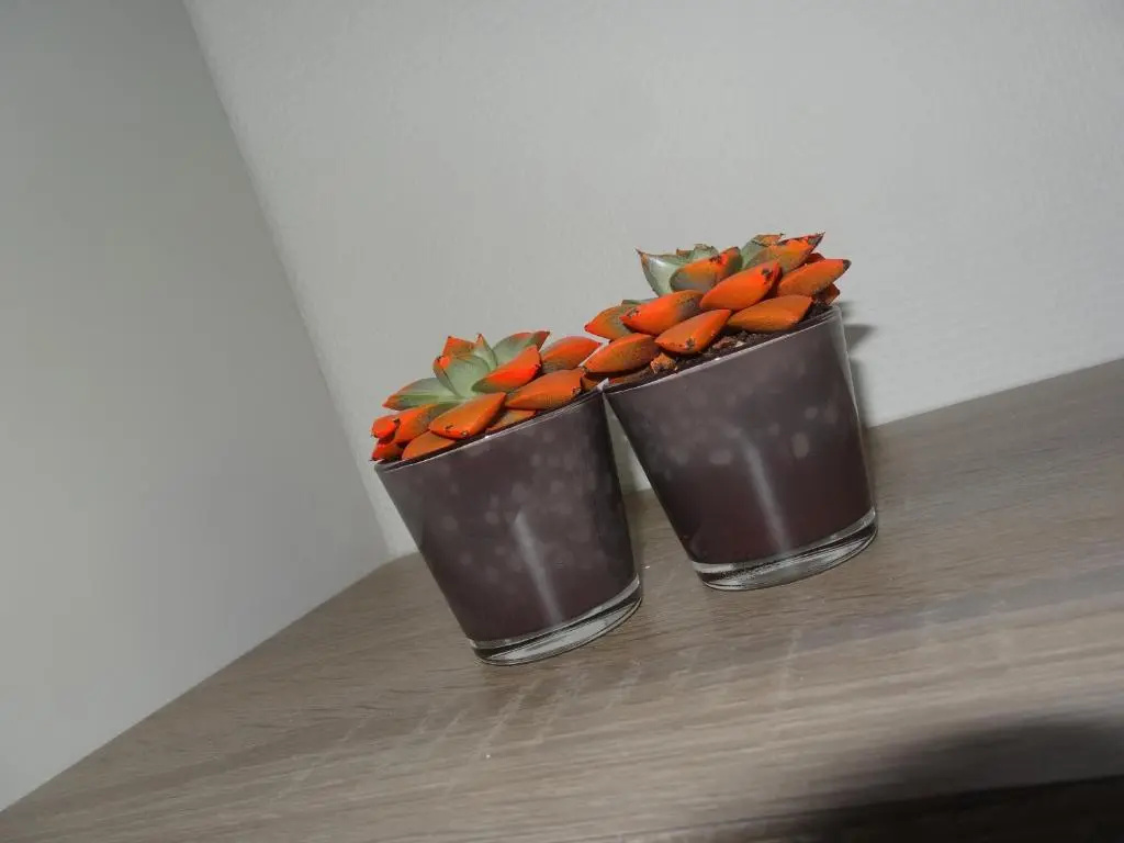 Bilderdijk Hotel - Chambres