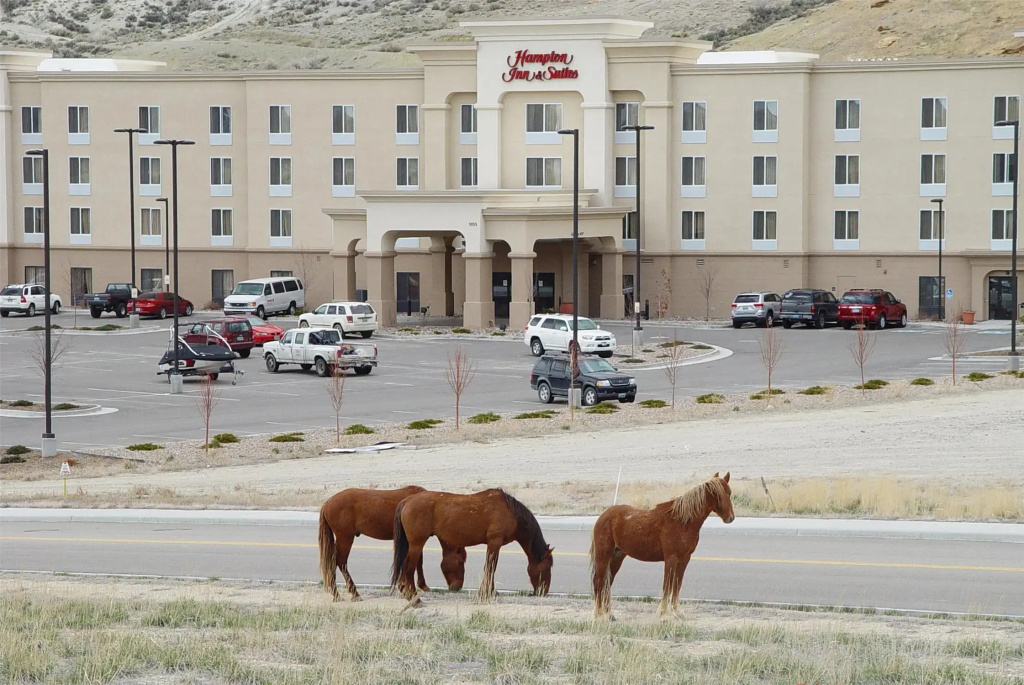 Hotel photo 40