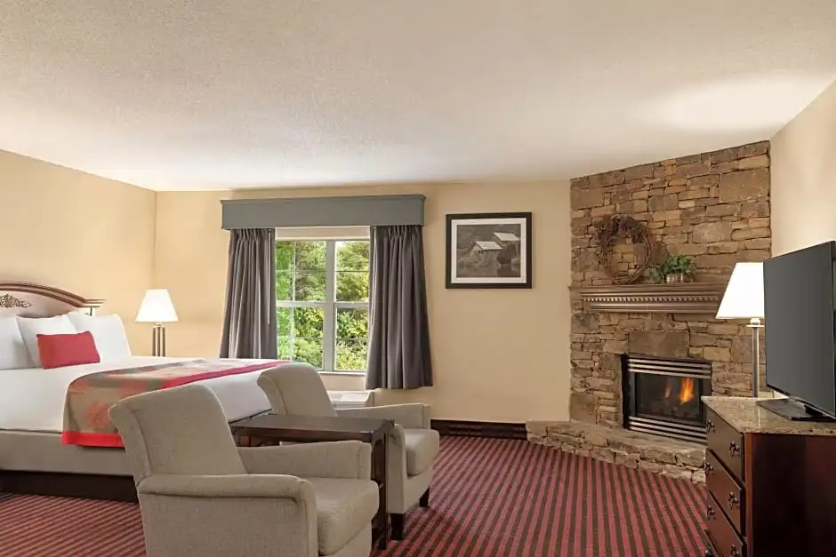 2 Bedrooms Sextuple Suite