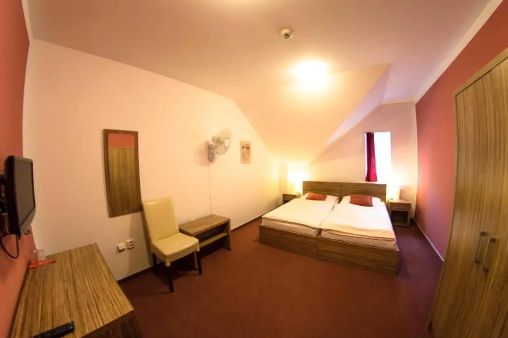 Wellness Hotel Hukvaldy - Chambres