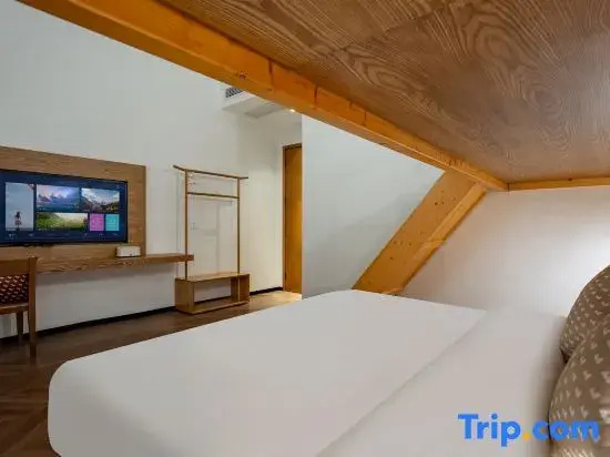 Double Family Suite (bunk bed)
