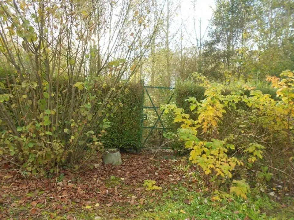 Voir la photo 4 — Ma petite Bohème
