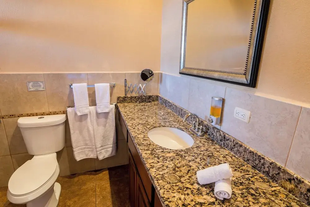 Hotel Barons Resort - фото 4