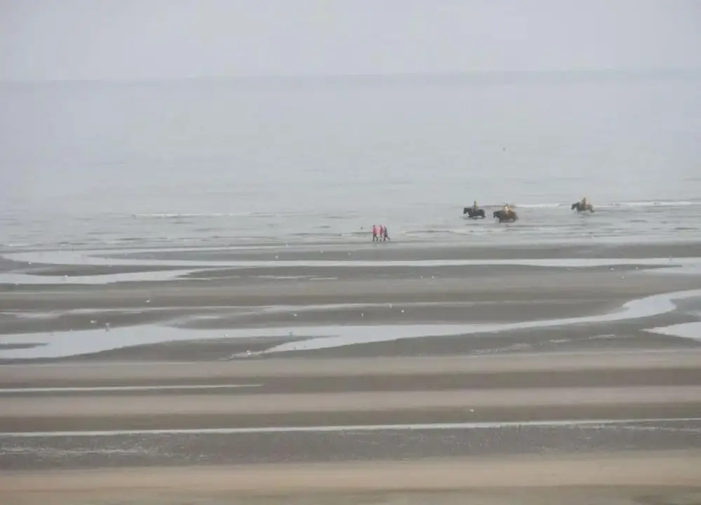 Apartment Oostduinkerke Near the Beach