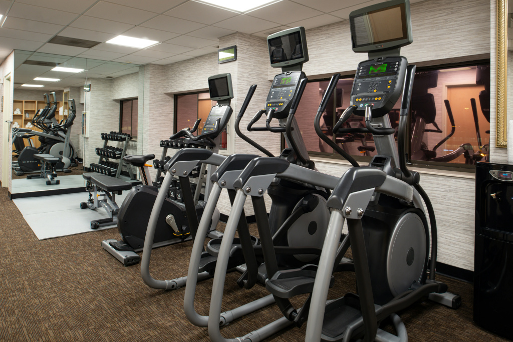 Holiday Inn & Suites Chicago - Downtown by IHG - Général