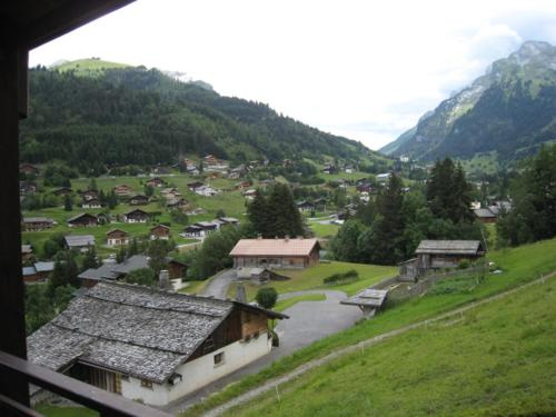 Apartment Duplex 6/8 personnes sur les pistes (him243)
