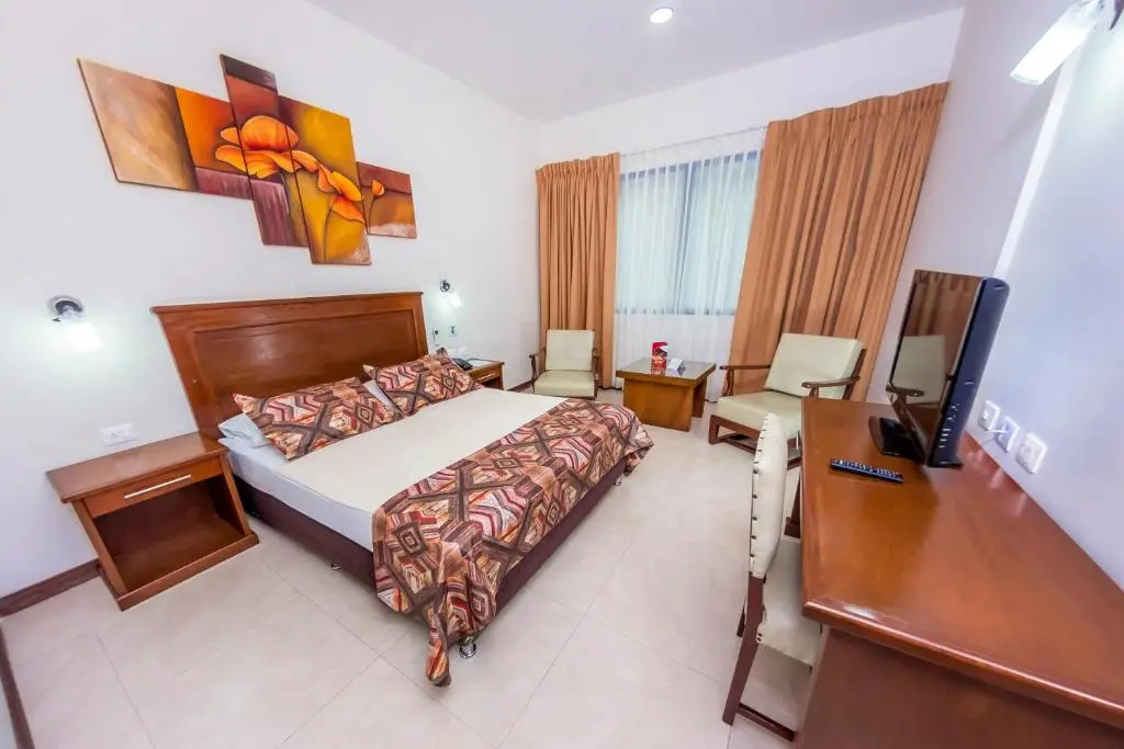 Standard Double room (full double bed)