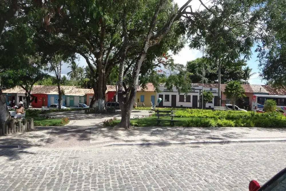 Image 19