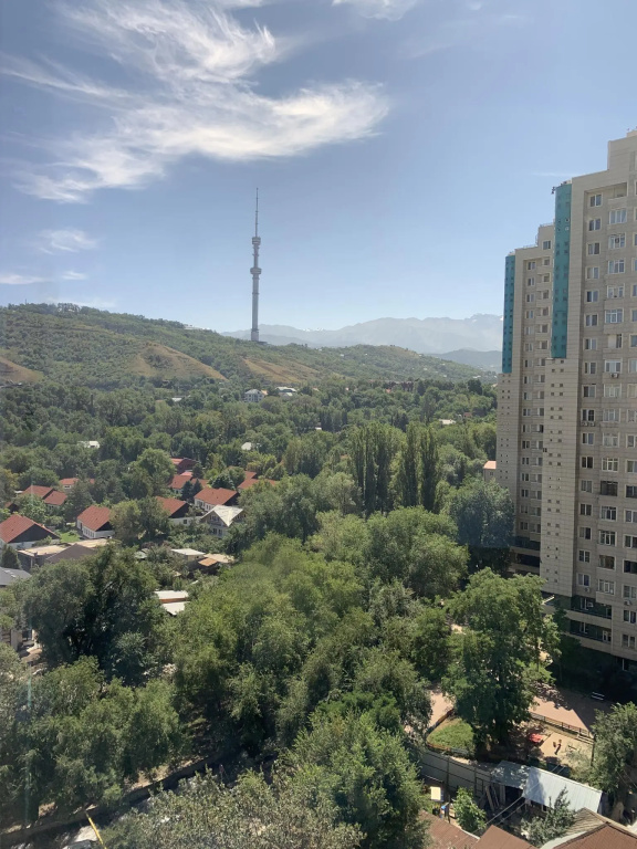 Almaty Apartments (Almaty Apartments) on Dostyk Avenue 138 block 2A