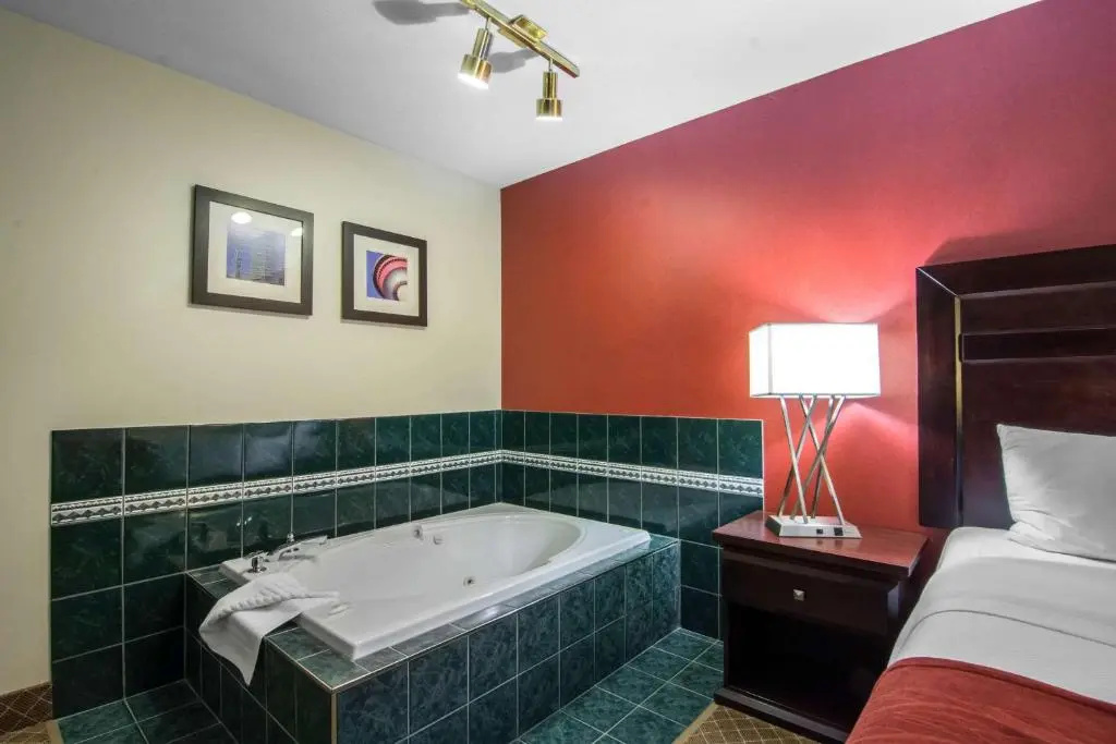 Comfort Inn & Suites Airport South - Chambres